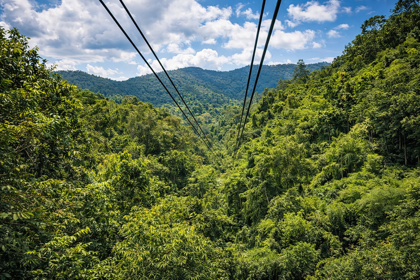 Чиангмай: 8 мест, которые нельзя пропустить