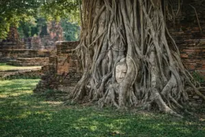 исторический парк Аюттхая